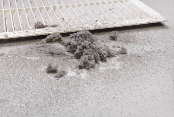 Best Affordable Air Duct Cleaning  in Pontiac, MI