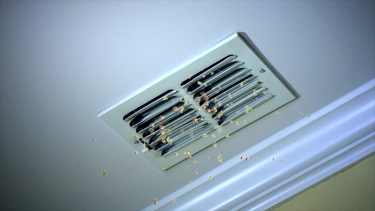 Best Professional Duct Cleaning Services  in Pontiac, MI